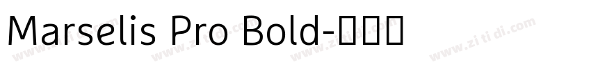 Marselis Pro Bold字体转换